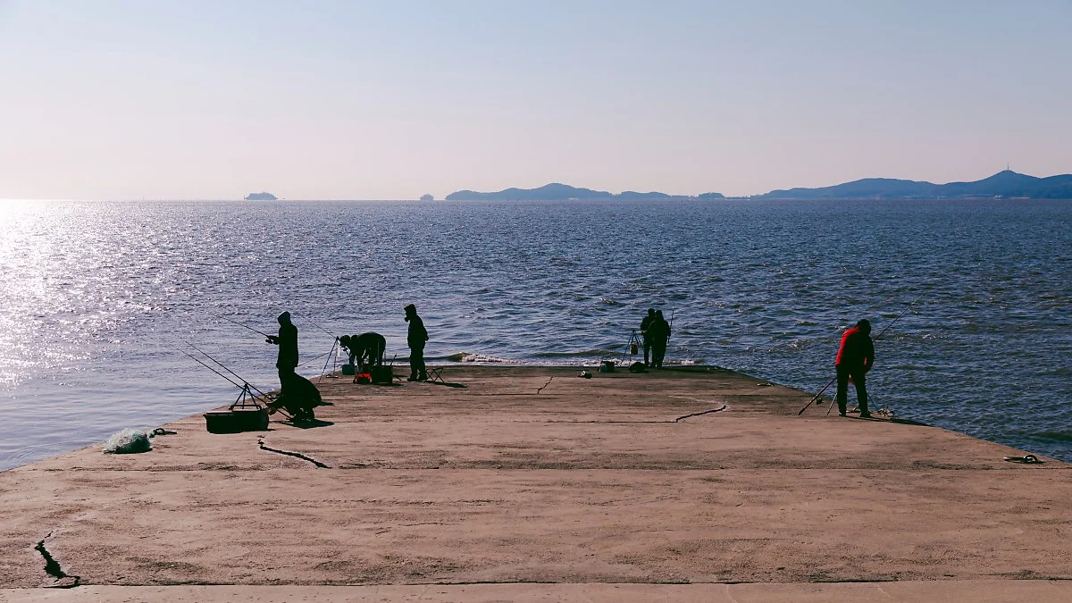 %EF%80%88d_%EC%9E%A5%EA%B3%B3%ED%95%AD_3.jpg?type=w1200