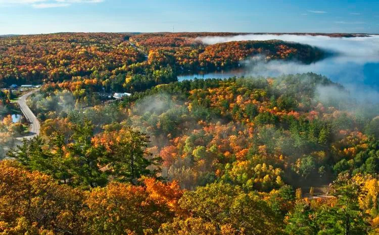 c100007139.jpeg?type=w1200