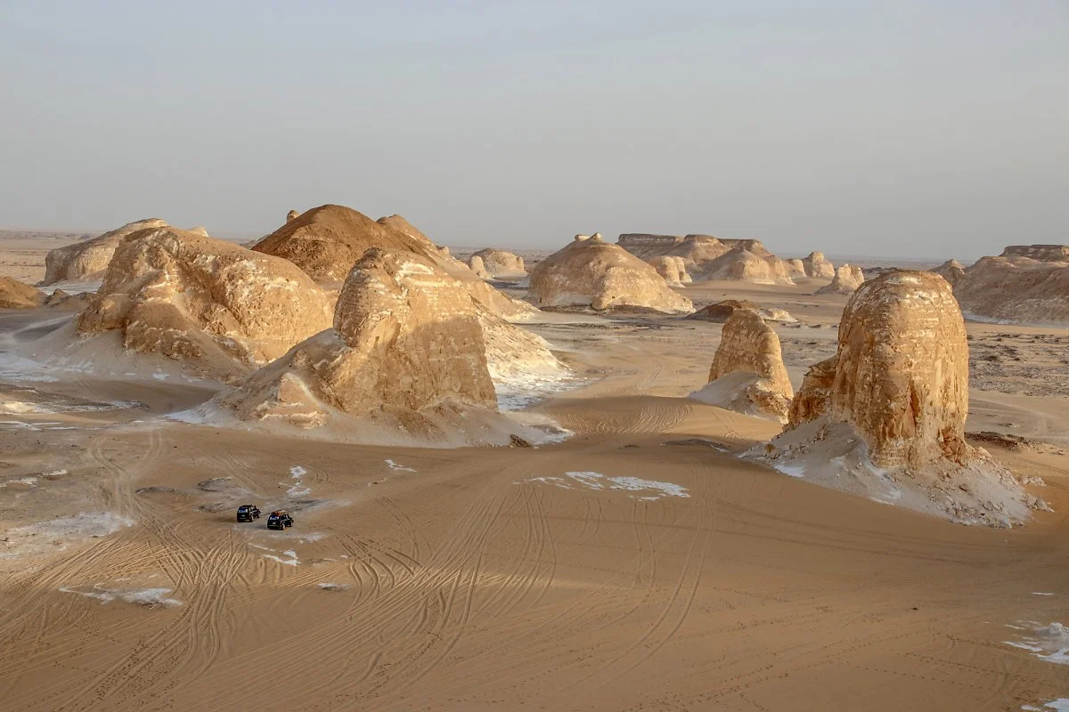 %EC%95%84%EA%B0%80%EB%B0%A7%EA%B3%84%EA%B3%A13.jpg?type=w1200