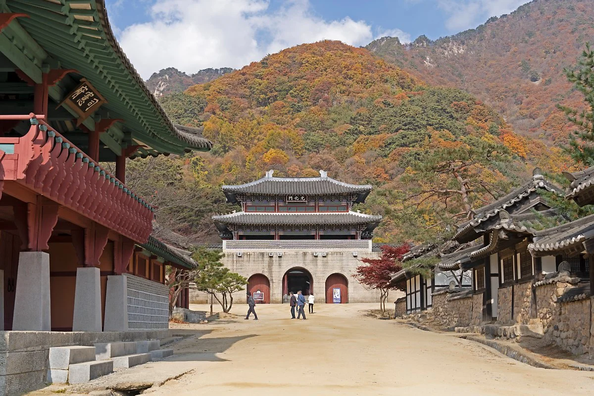 %EC%82%AC%EC%A7%849_%EB%AC%B8%EA%B2%BD%EC%83%88%EC%9E%AC_%EC%98%A4%ED%94%88%EC%84%B8%ED%8A%B8%EC%9E%A5_%EA%B4%91%ED%99%94%EB%AC%B8.jpg?type=w1200