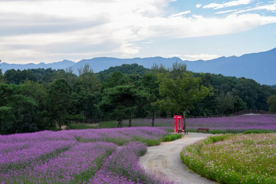 %EA%B3%A0%EC%84%9D%EC%A0%95%EA%BD%83%EB%B0%AD-53.jpg?type=w966