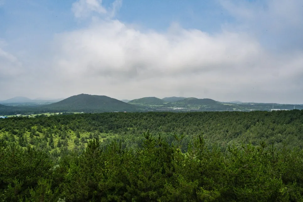 43_%EC%95%84%EB%B6%80%EC%98%A4%EB%A6%84_%EC%A0%84%EB%A7%9D%EB%8C%80%EC%97%90%EC%84%9C_%EB%B0%94%EB%9D%BC%EB%B3%B8_%ED%92%8D%EA%B2%BD._%EC%97%AC%EB%A6%84%EC%9D%98_%ED%96%A5%EA%B8%B0%EA%B0%80_%EB%8A%90%EA%BB%B4%EC%A7%84%EB%8B%A4.jpg?type=w966