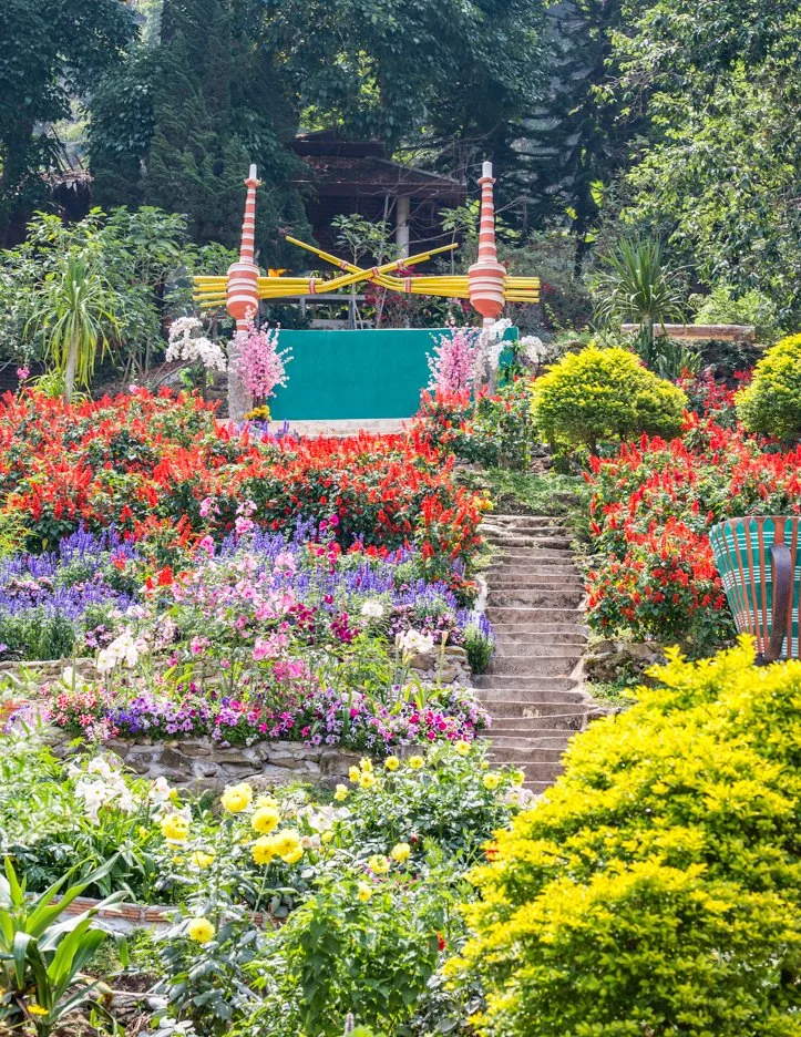 %EC%B9%98%EC%95%99%EB%A7%88%EC%9D%B4.jpg?type=w1200