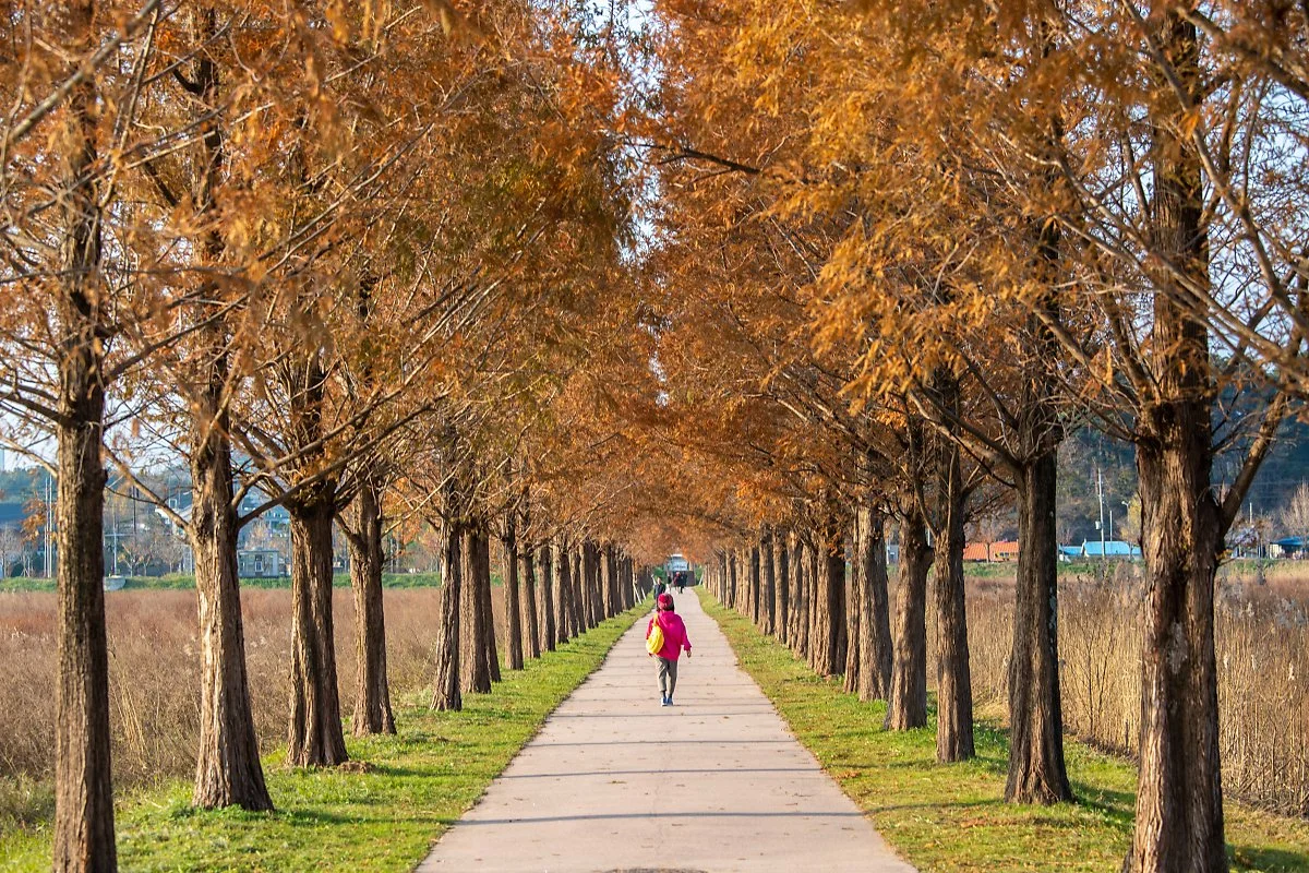 %EA%B2%BD%ED%8F%AC%EC%83%9D%ED%83%9C%EC%A0%80%EB%A5%98%EC%A7%80_%EB%A9%94%ED%83%80%EC%84%B8%EC%BD%B0%EC%9D%B4%EC%96%B4%EA%B8%B8_%285%29.jpg?type=w1200