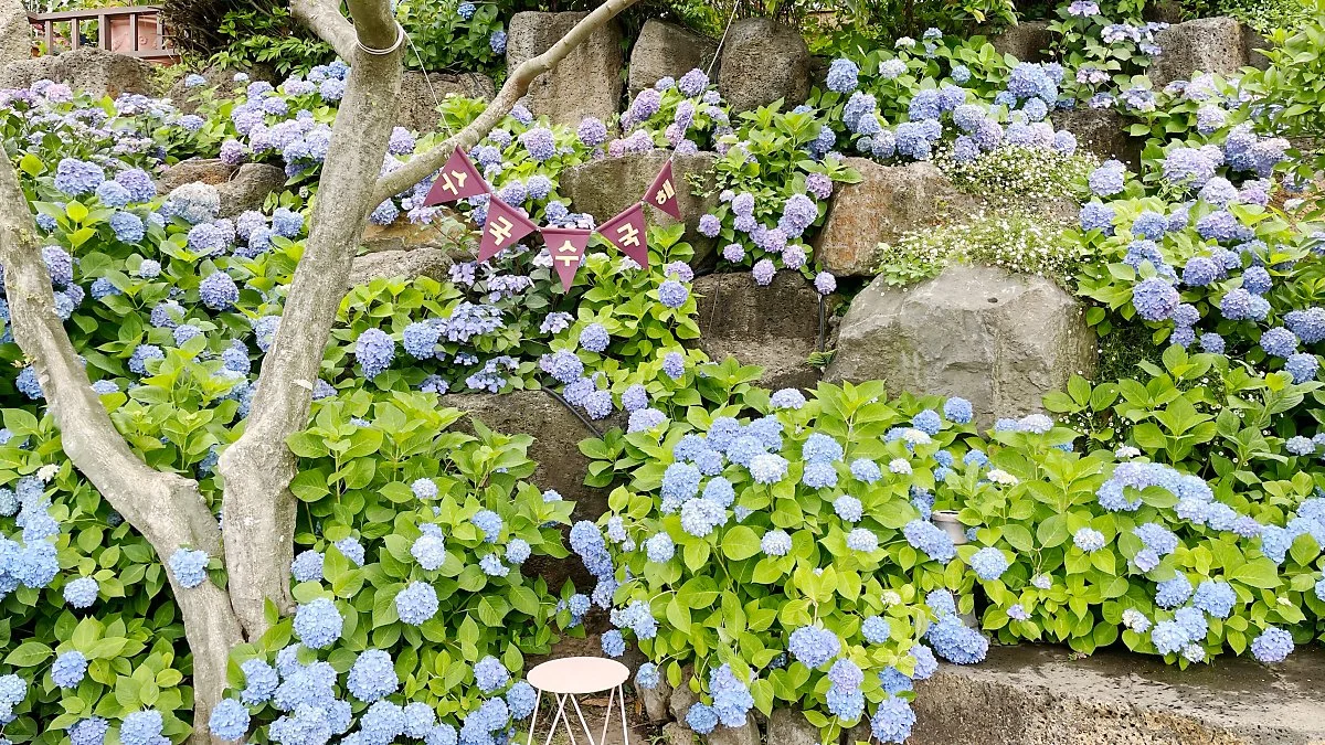 %EB%A7%88%EB%85%B8%EB%A5%B4%EB%B8%94%EB%9E%91_%282%29.JPG?type=w1200