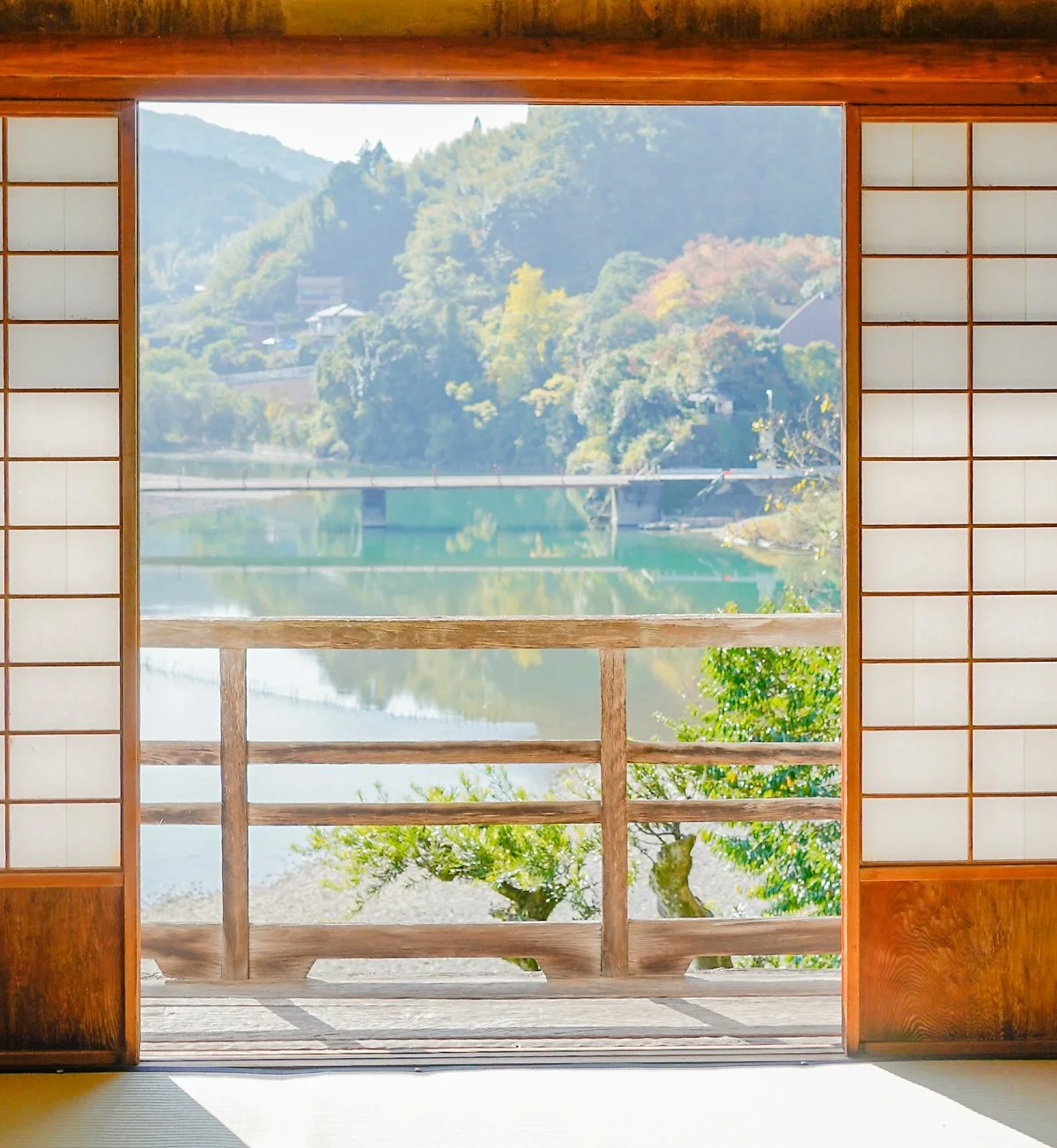 image_5446860731638171547583.jpg?type=w1200