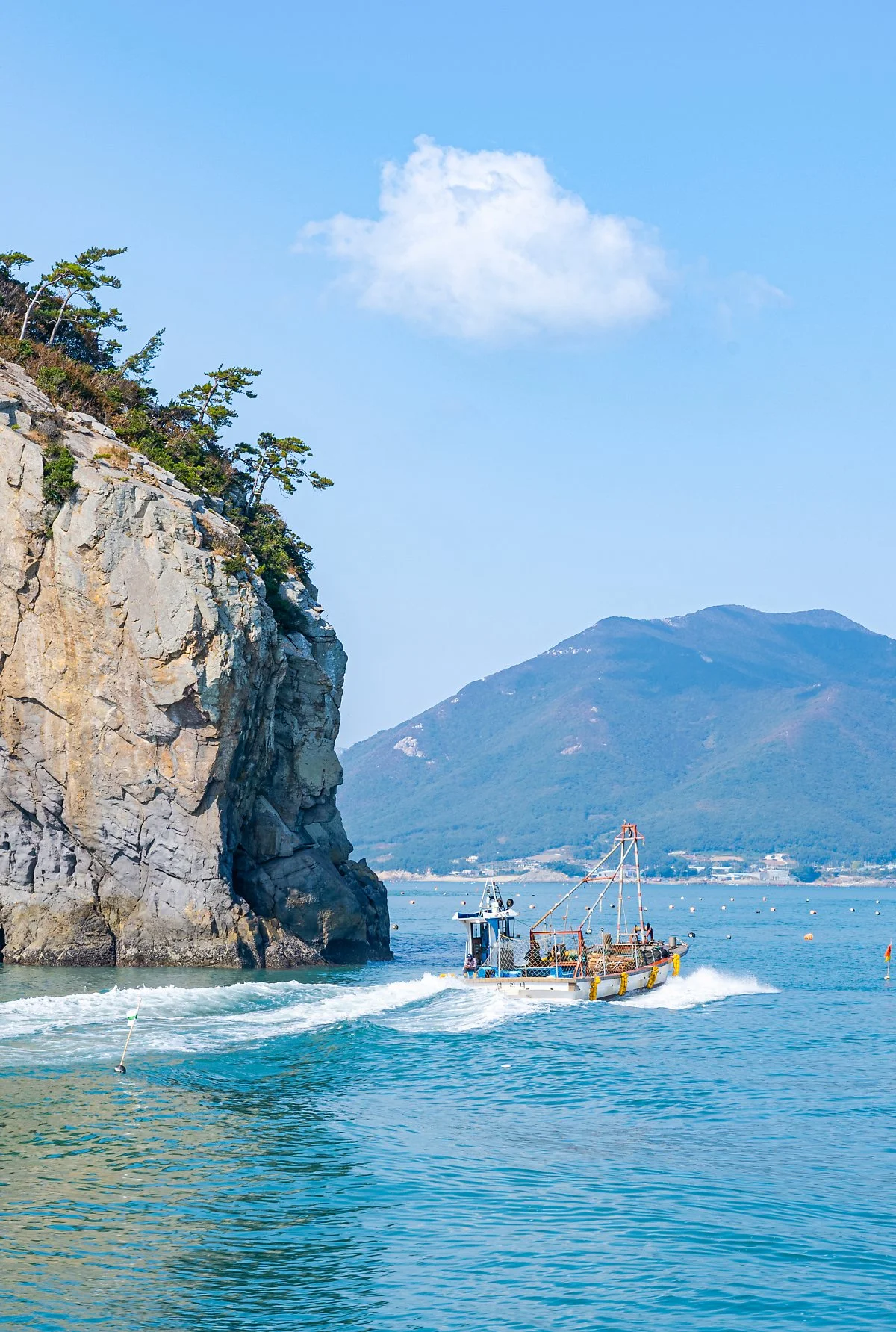 %EB%8F%84%EB%B9%84%EB%9D%BC_%EA%B5%90%EC%B2%B4.jpg?type=w1200