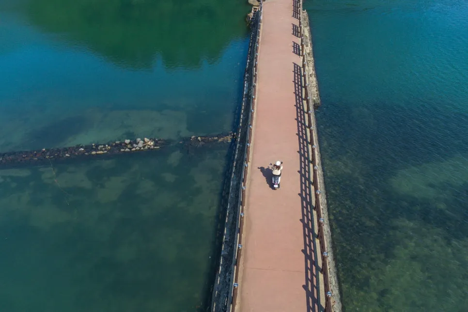 %EC%98%A4%EC%A1%B0%EB%A6%AC_(1).jpg?type=w966