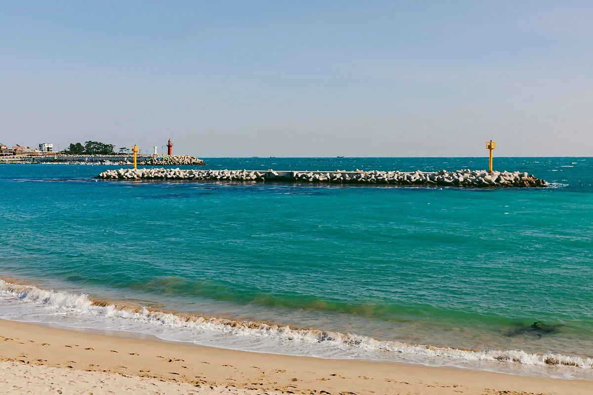 d_%EB%82%98%EC%82%AC%ED%95%B4%EC%88%98%EC%9A%95%EC%9E%A5_2.jpg?type=w1200