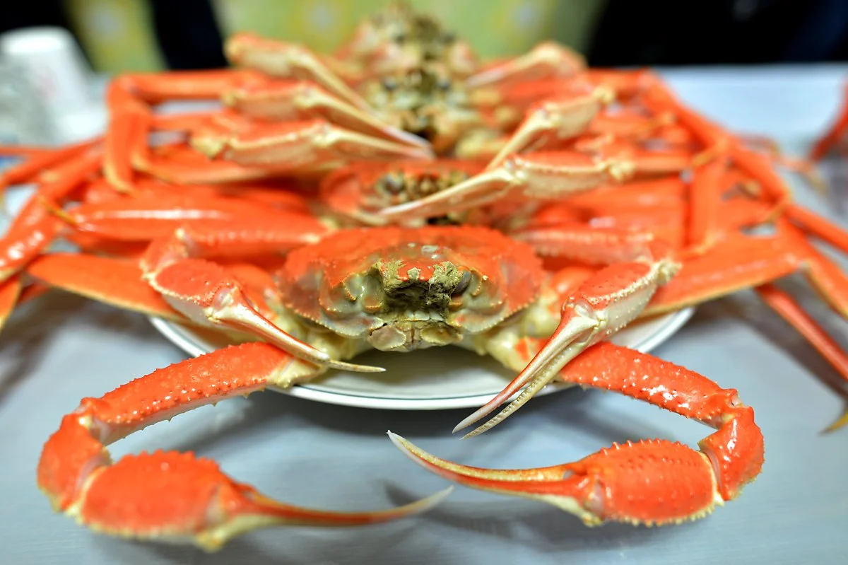 %EA%B2%A8%EC%9A%B8%EC%9D%98_%EC%A7%84%EA%B0%9D_%EB%8C%80%EA%B2%8C%EA%B0%80_%EB%B0%94%EC%95%BC%ED%9D%90%EB%A1%9C_%EC%A0%9C%EC%B2%A0%EC%9D%84_%EB%A7%9E%EC%95%98%EB%8B%A4.JPG?type=w1200