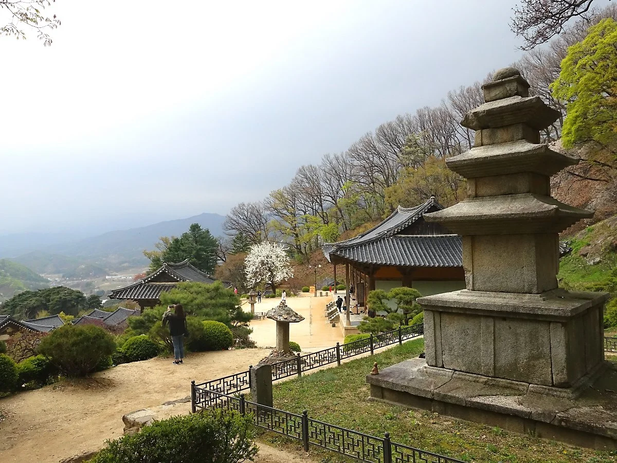 %EB%B6%80%EC%84%9D%EC%82%AC4.jpg?type=w1200