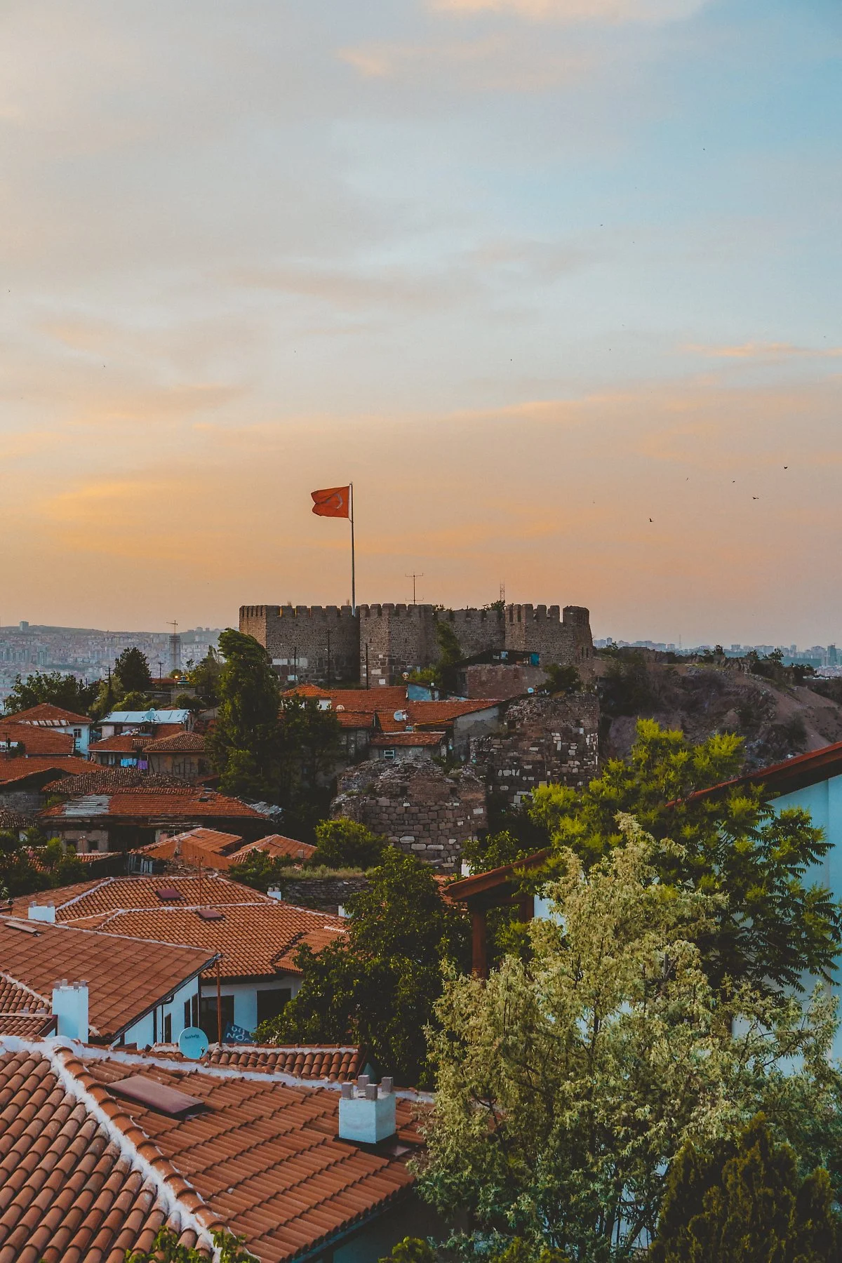 %EC%95%99%EC%B9%B4%EB%9D%BC_%EC%84%B1_%286%29.jpg?type=w1200