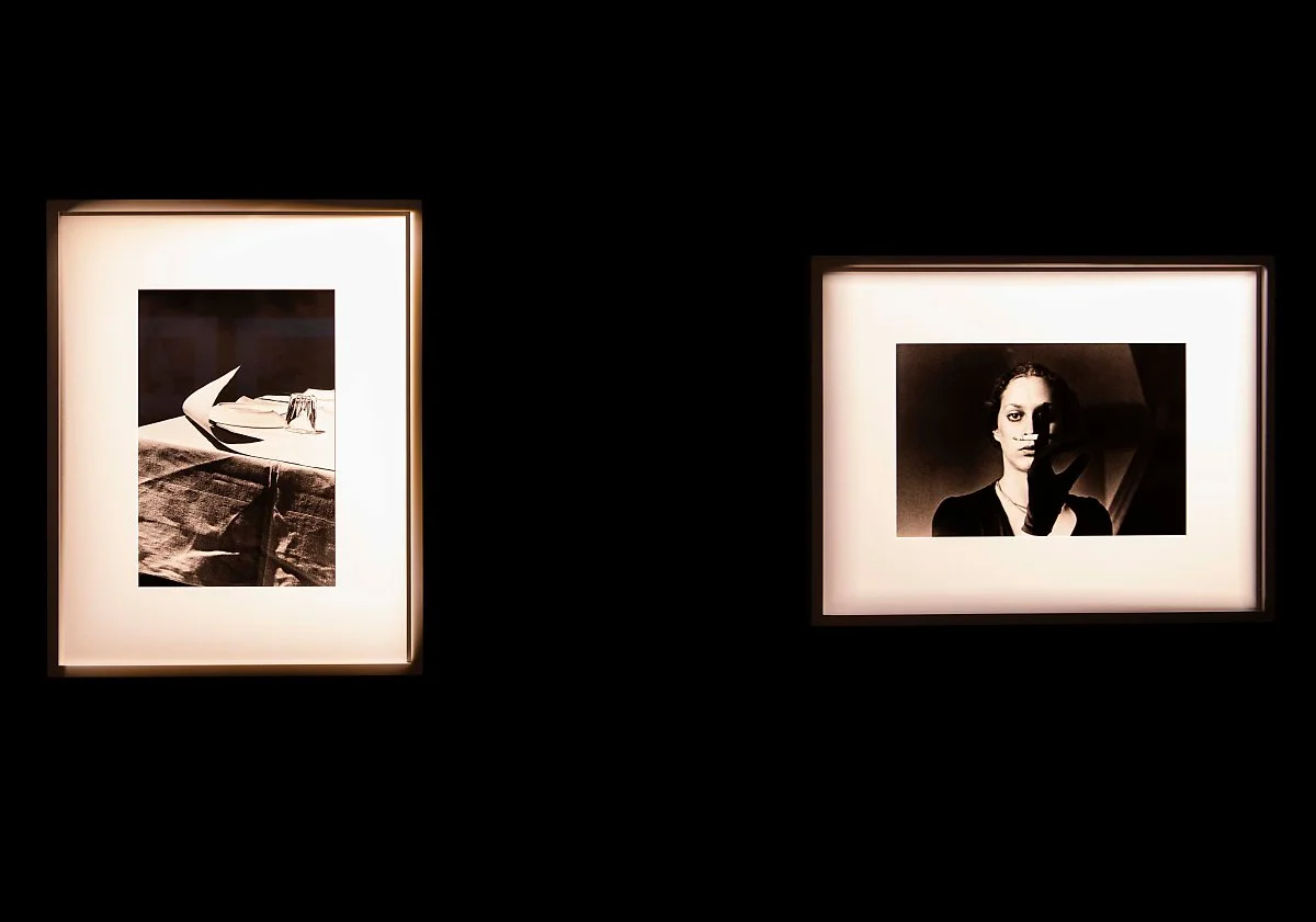 %EB%9E%84%ED%94%84_%EA%B9%81%EC%8A%A8_%EC%82%AC%EC%A7%84%EB%AF%B8%EC%88%A0%EA%B4%80_3.jpg?type=w1200