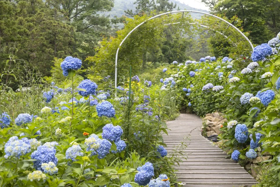 IMG_6940.jpg?type=w966