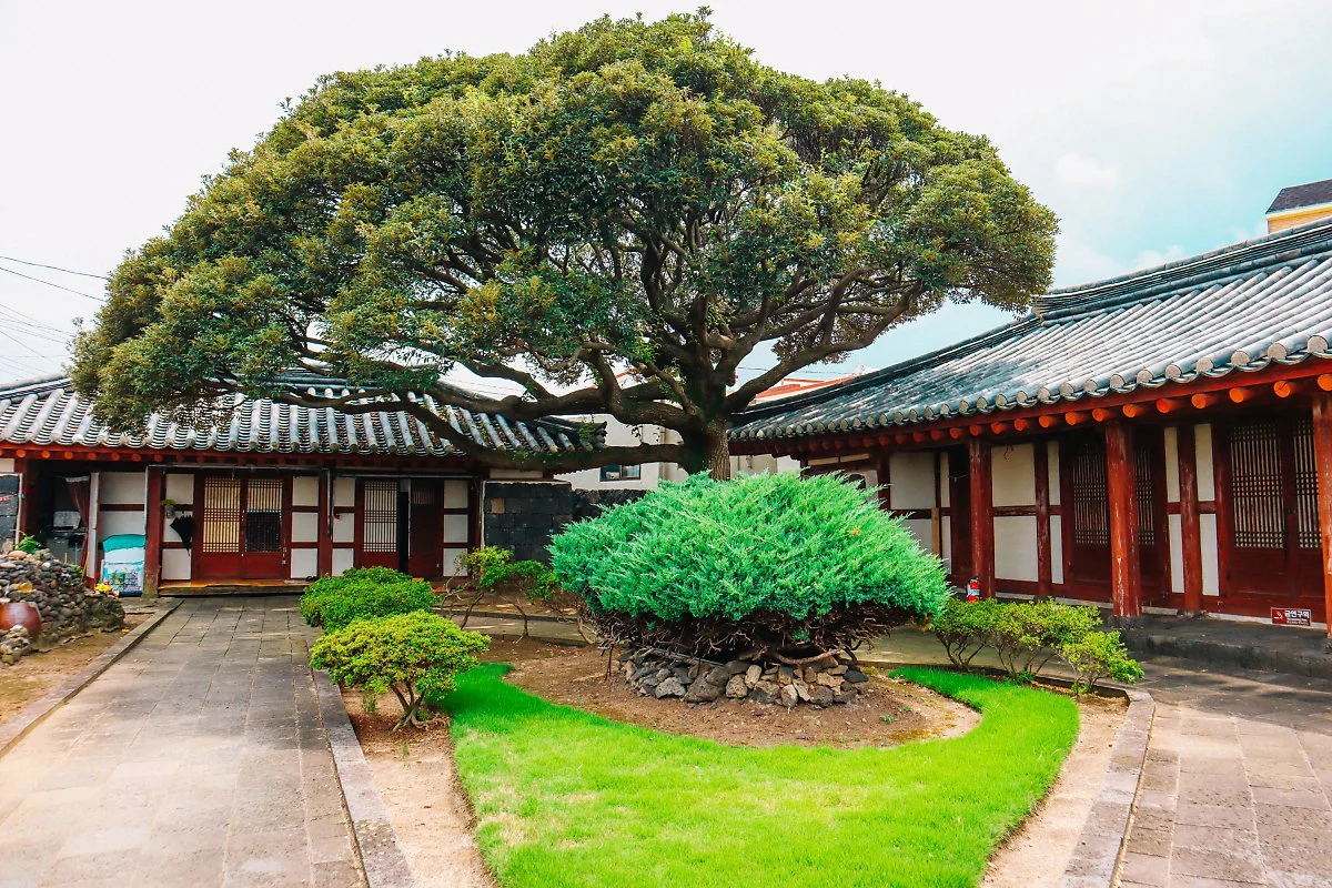 d_%EC%8B%A0%EC%B4%8C%ED%96%A5%EC%82%AC_1.JPG?type=w1200