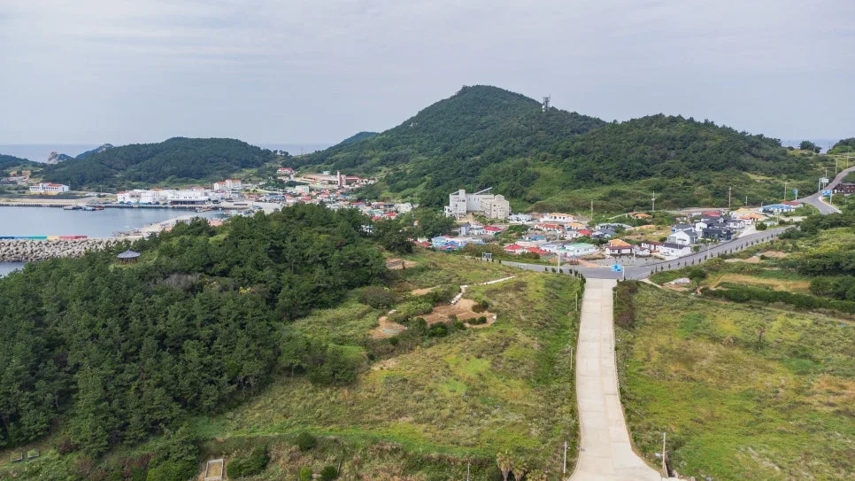 %ED%95%98%EC%B6%94%EC%9E%90_%EC%8B%A0%EC%96%91%EB%A6%AC.jpg?type=w966