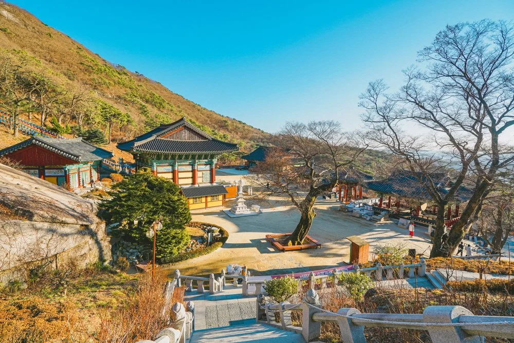 %EB%B3%B4%EB%AC%B8%EC%82%AC_%2812%29.jpg?type=w1200