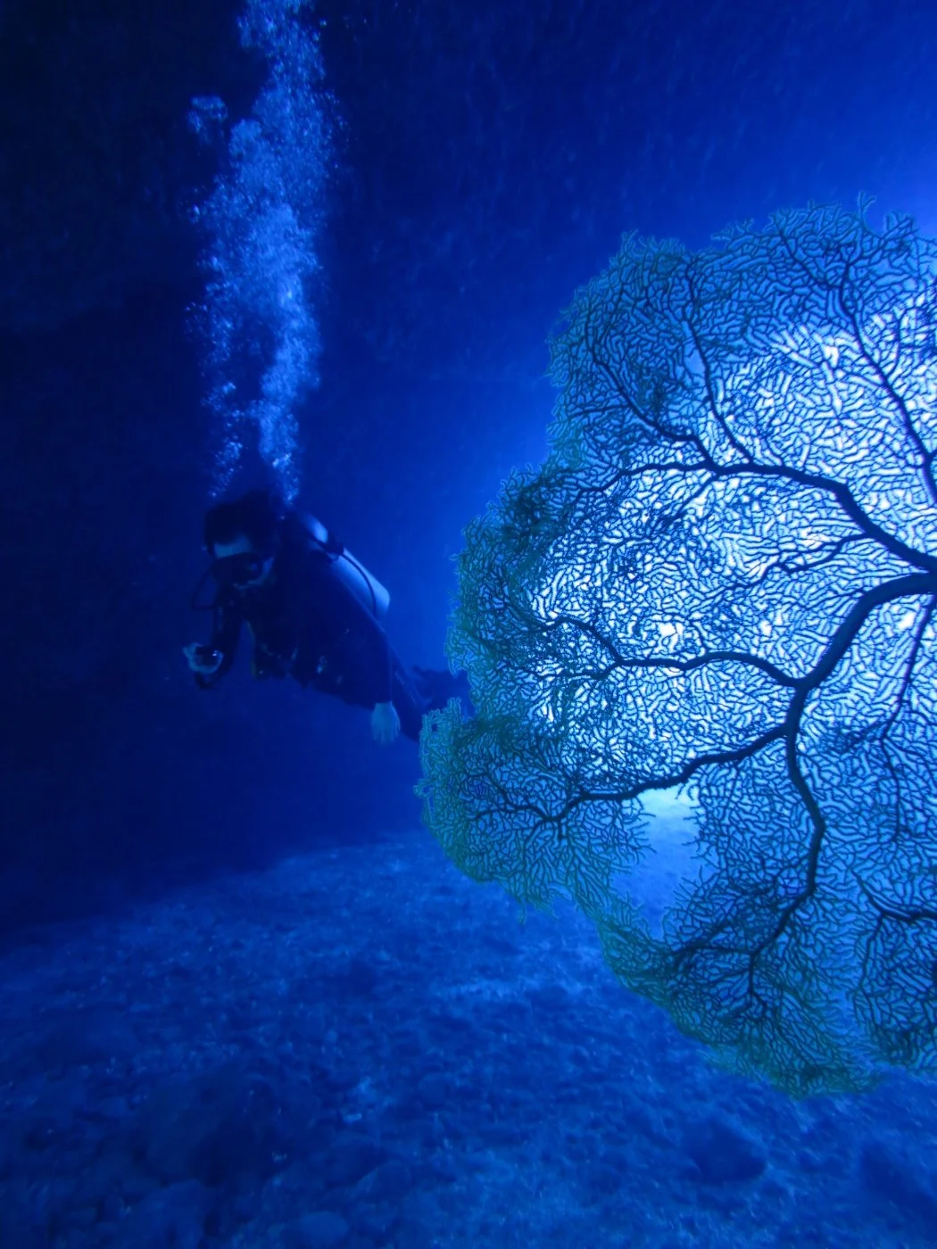 6%ED%8E%98%EC%9D%B4%EC%A7%80_%EB%8B%A8%EB%8F%85_%EC%82%AC%EC%A7%84.jpg?type=w1200