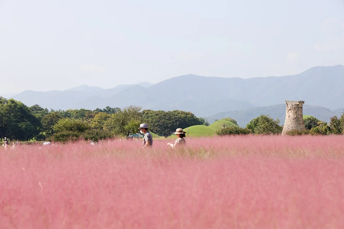 1._%EC%B2%A8%EC%84%B1%EB%8C%80%EA%BD%83%EB%B0%AD_%281%29.jpg?type=w1200