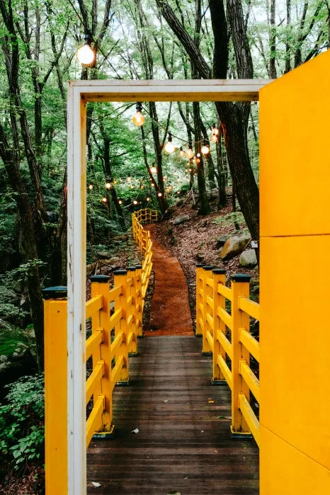 %ED%81%AC%EA%B8%B0%EB%B3%80%ED%99%98%EB%AC%BC%EC%86%8C%EB%A6%AC%EC%83%9D%ED%83%9C%EC%88%B2_(9).jpg?type=w466