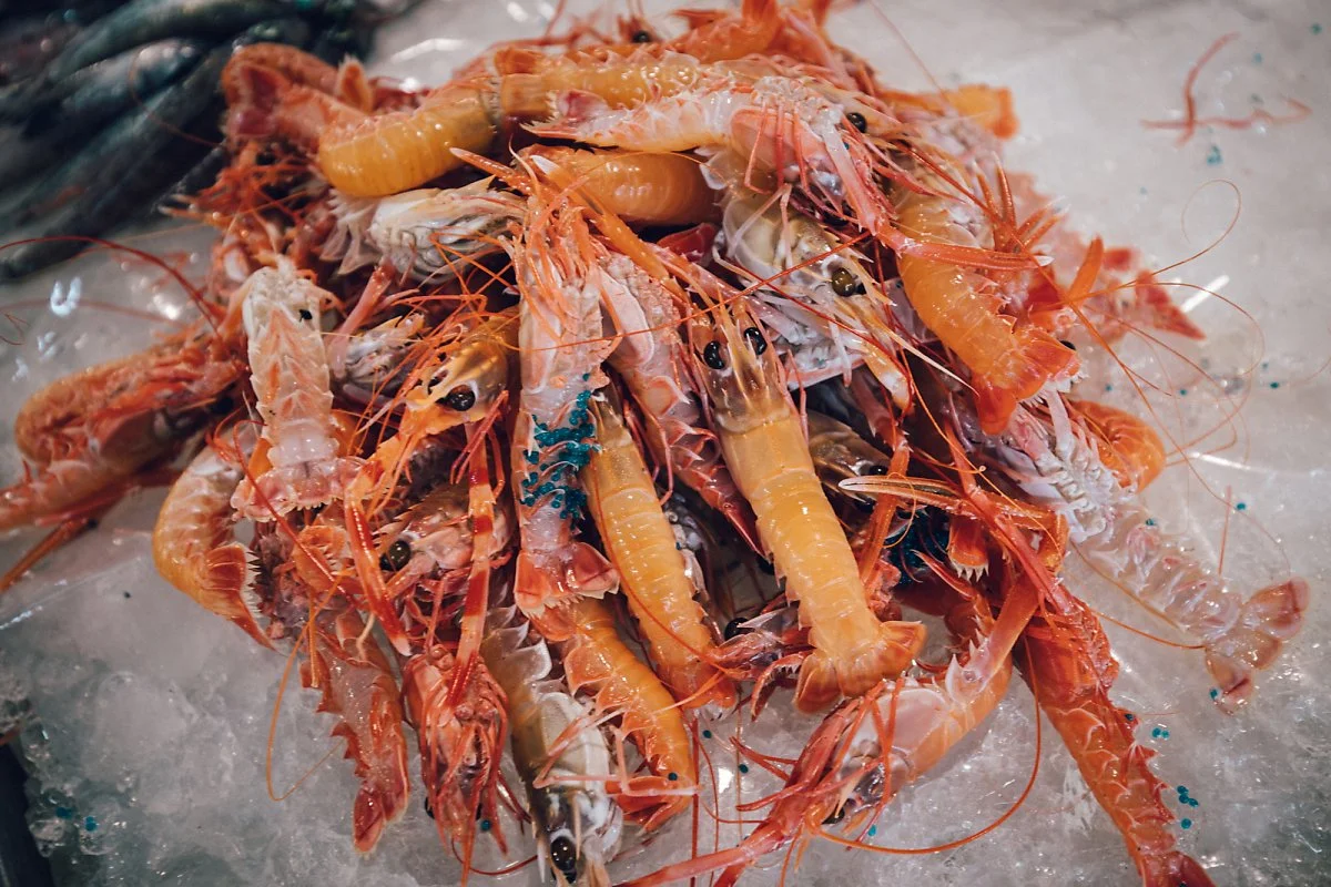 KHS_6197.jpg?type=w1200