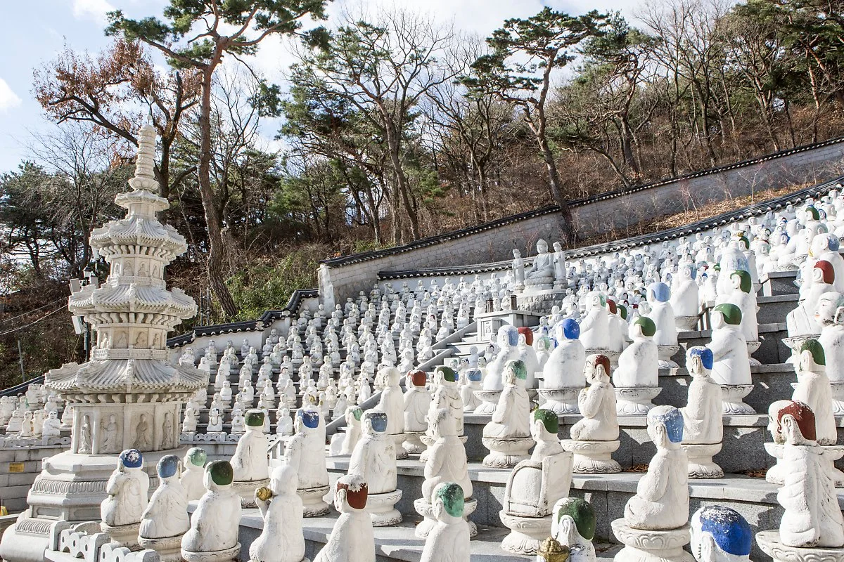 %EB%B3%B4%EB%AC%B8%EC%82%AC_%EA%B9%80%EB%8F%84%ED%98%95_%282%29.JPG?type=w1200