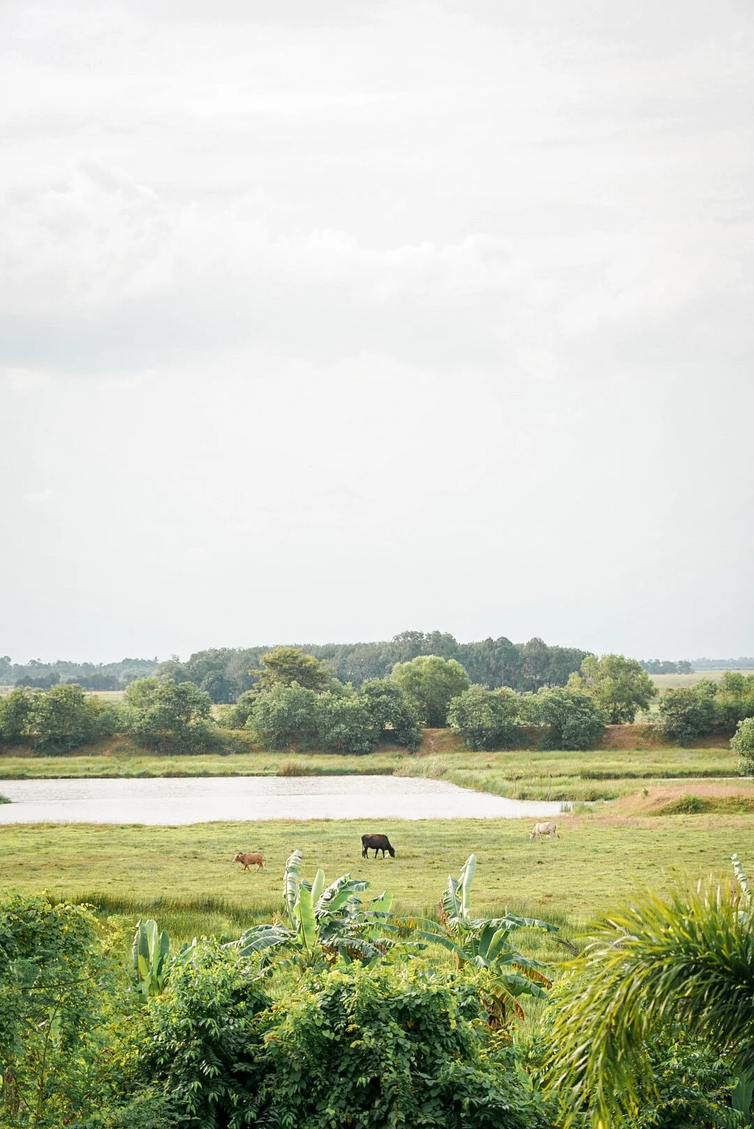 %EC%84%BC%ED%8A%B8%EB%9F%B4_%EB%AA%A8%EC%8A%A4%ED%81%AC06.jpg?type=w1200