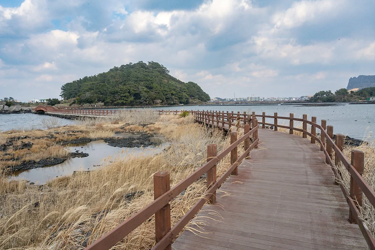 %EC%98%A4%EC%A1%B0%EB%A6%AC_%EC%98%AC%EB%A0%88_2%EC%BD%94%EC%8A%A4%EC%99%80_%EC%8B%9D%EC%82%B0%EB%B4%89.jpg?type=w1200