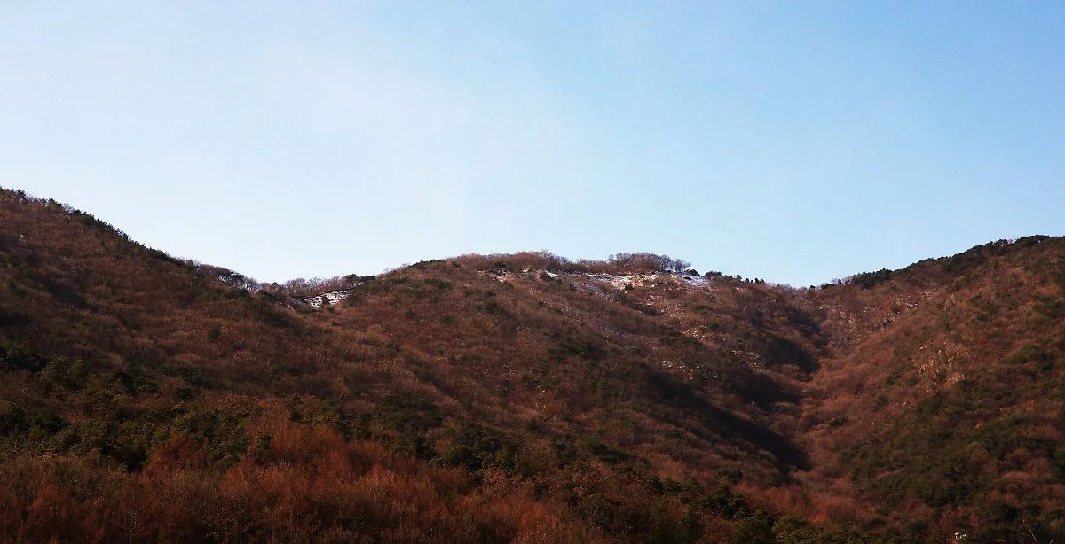 %EC%9E%84%EC%A1%B4%EC%84%B1%EC%9D%98_%ED%9D%94%EC%A0%81.JPG?type=w1200