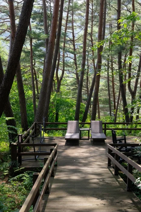 PJW00218.jpg?type=w466