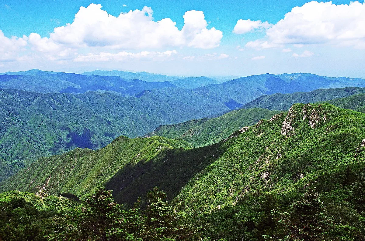 %EB%85%B8%EC%9D%B8%EB%B4%89_%EC%A0%95%EC%83%81%EC%97%90%EC%84%9C_%ED%92%8D%EA%B2%BD._%EC%82%B0%EC%A4%84%EA%B8%B0%EA%B0%80_%ED%9E%98%EC%B0%A8%EA%B2%8C_%EB%82%B4%EB%8B%AC%EB%A6%B0%EB%8B%A4.JPG?type=w1200