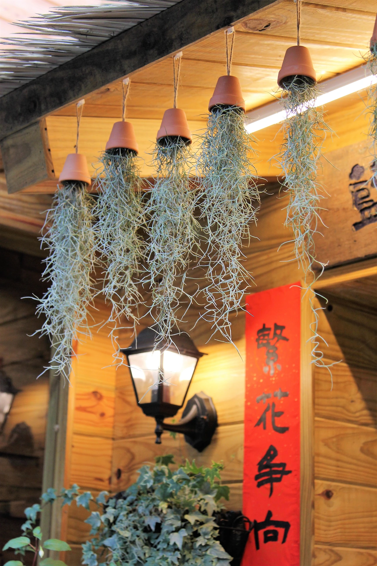 02탁야소야 (3).JPG