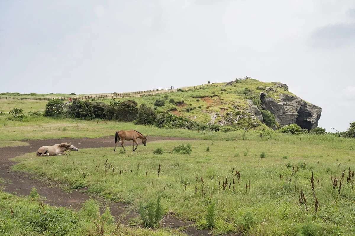 3_%EC%9A%B0%EB%8F%84%EB%B4%89%2C_%ED%8E%B8%EC%95%88%ED%95%9C_%EA%B0%90%EC%84%B1%EC%9D%B4_%EA%B0%80%EB%93%9D%ED%95%98%EB%8B%A4.jpg?type=w1200