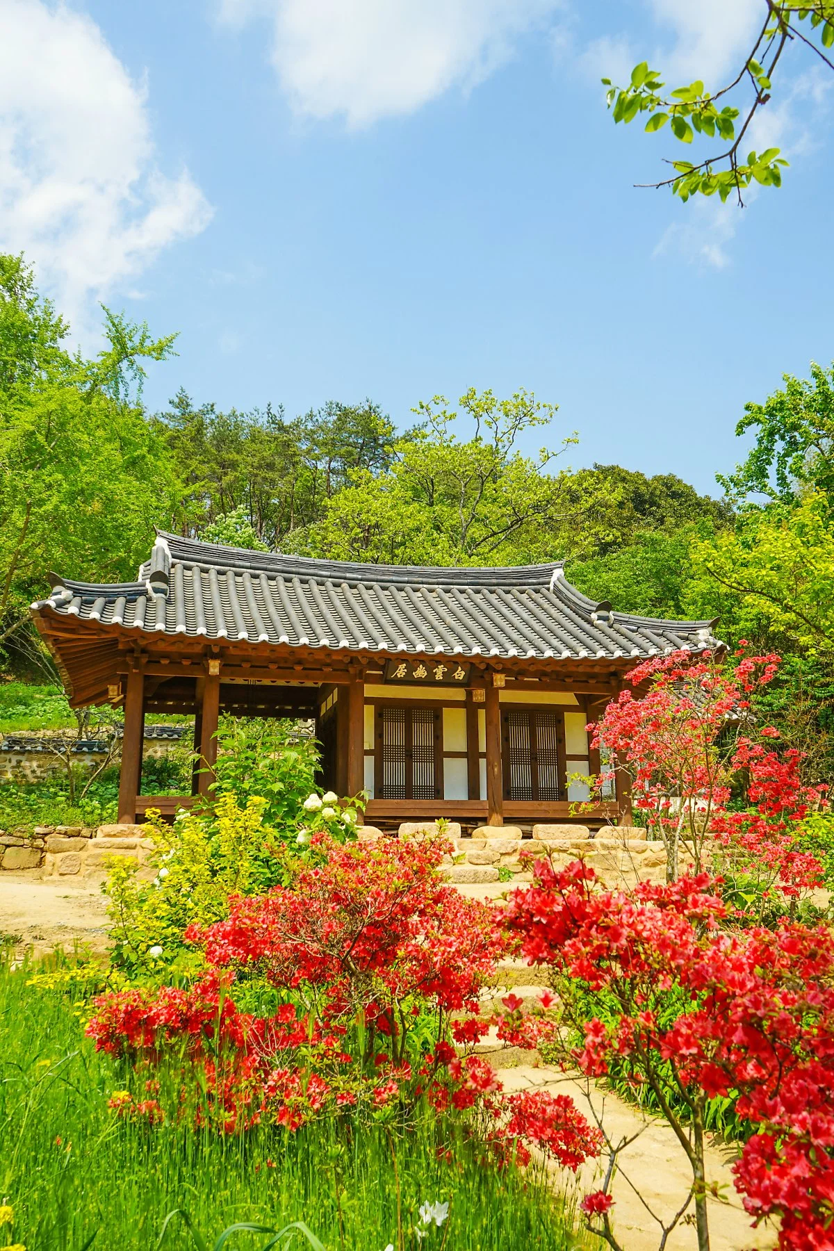 %EB%B0%B1%EC%9A%B4%EB%8F%99%EC%9B%90%EB%A6%BC_%287%29.JPG?type=w1200