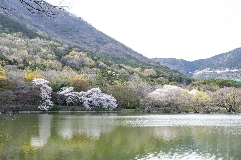 %ED%81%AC%EA%B8%B0%EB%B3%80%ED%99%98%EC%A7%84%ED%95%B4%EB%82%B4%EC%88%98%EB%A9%B4%EC%83%9D%ED%83%9C%EA%B4%80%EA%B4%91%EA%B3%B5%EC%9B%90_%283%29.jpg?type=w1200