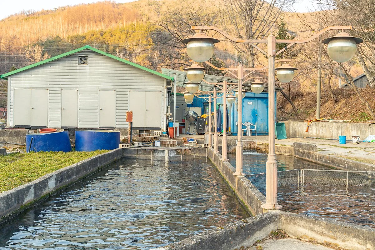 %EA%B0%95%EC%9B%90%EC%88%98%EC%82%B0%ED%9A%9F%EC%A7%9100003.jpg?type=w1200