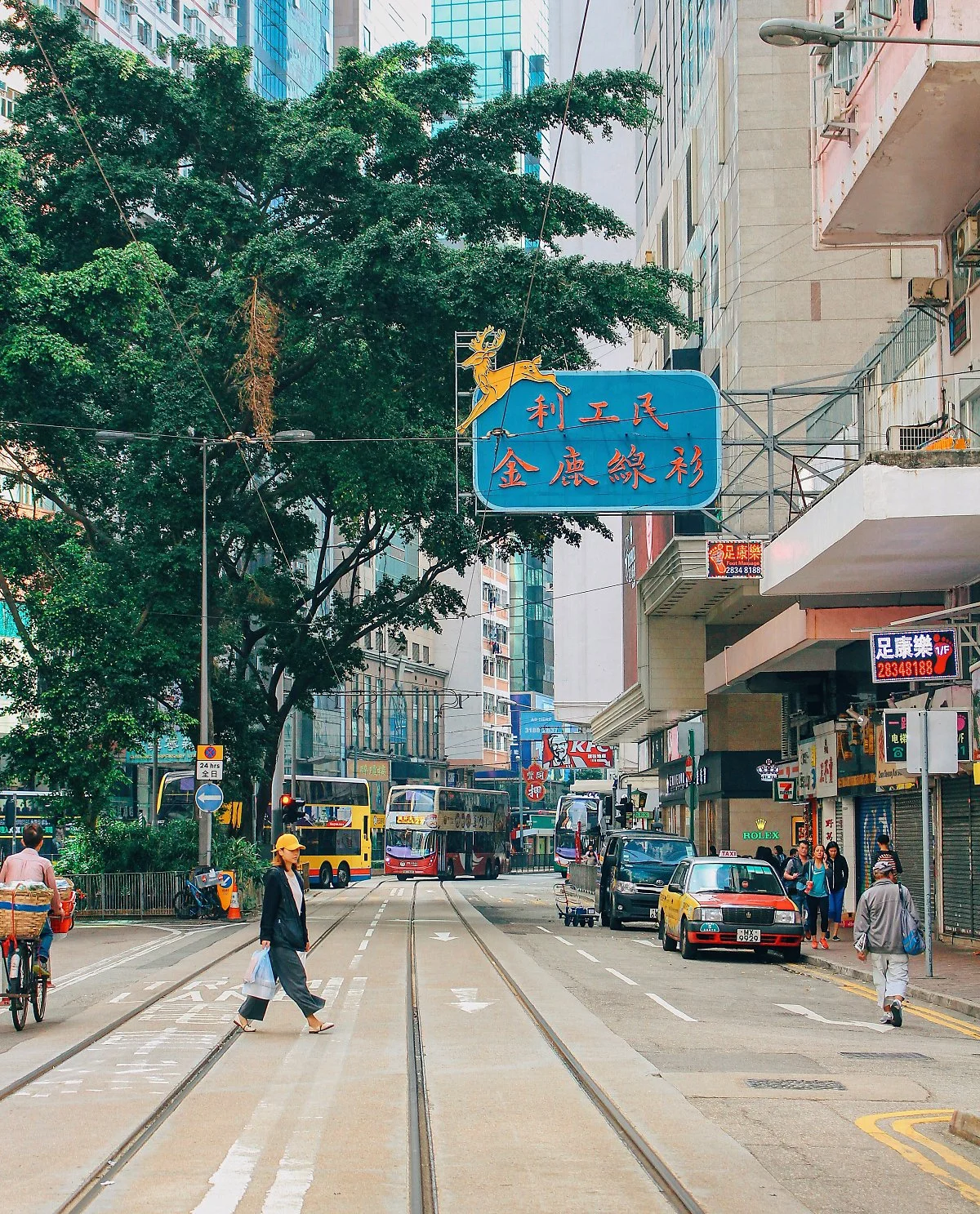 %ED%99%8D%EC%BD%A9_%EB%82%AE_%281%29.JPG?type=w1200