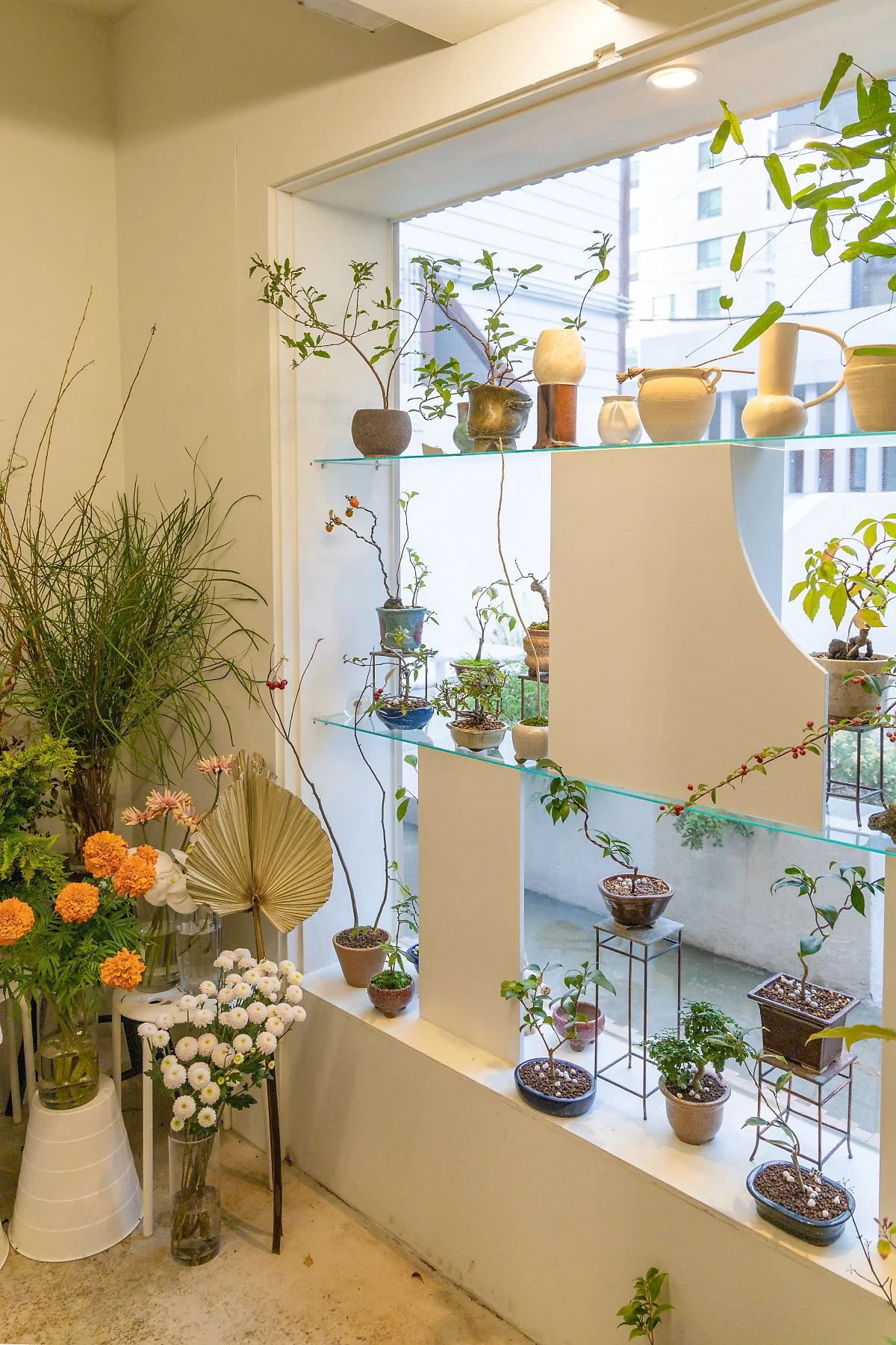 %ED%81%AC%EA%B8%B0%EB%B3%80%ED%99%98IMG_0326.jpg?type=w1200