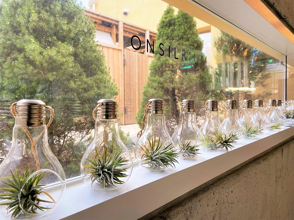 %EC%98%A8%EC%8B%A4%EB%A6%AC%EC%9B%80_%282%29.JPG?type=w1200