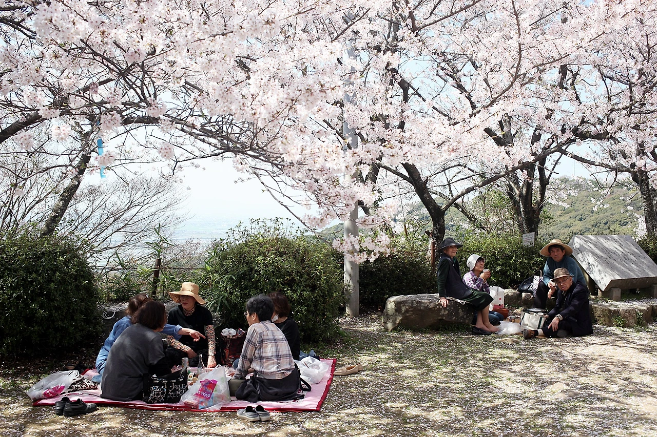 4 미야마기요미즈야먀코스 (4).JPG