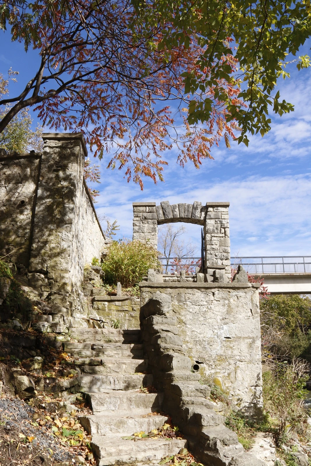 12.Templin Garden-Fergus.JPG