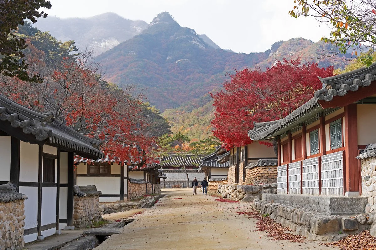 %EC%82%AC%EC%A7%8410_%EB%AC%B8%EA%B2%BD%EC%83%88%EC%9E%AC_%EC%98%A4%ED%94%88%EC%84%B8%ED%8A%B8%EC%9E%A5_%EC%96%91%EB%B0%98%EC%B4%8C.jpg?type=w1200