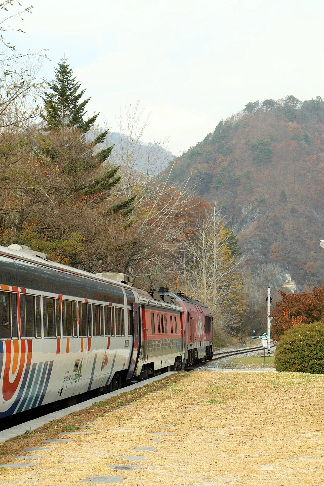 정선 아리랑열차 (2).JPG