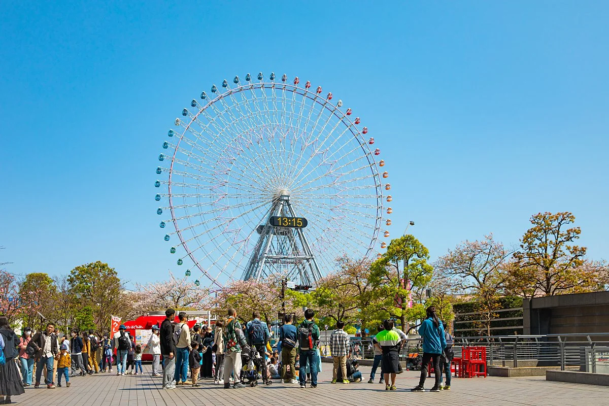 %EC%9A%94%EC%BD%94%ED%95%98%EB%A7%88_%EC%9A%94%EC%BD%94%ED%95%98%EB%A7%88_%EC%BD%94%EC%8A%A4%EB%AA%A8_%EC%9B%94%EB%93%9C_1.jpg?type=w1200