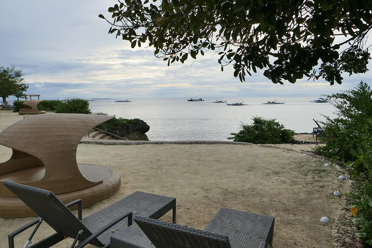 33-%EB%B9%84%EA%B7%B8%EB%9E%9C%EB%93%9C%EB%A6%AC%EC%A1%B0%ED%8A%B811.jpg?type=w1200