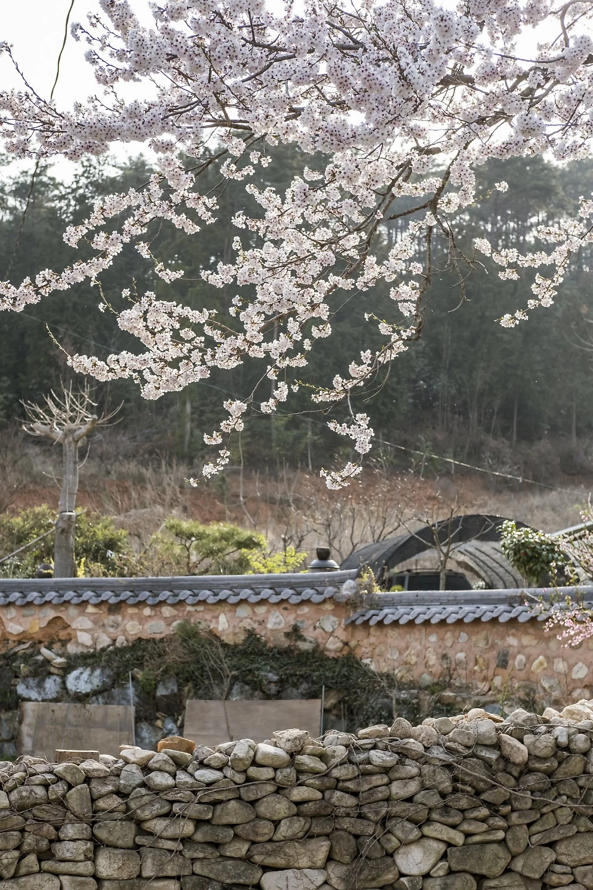 %EA%B0%95%EC%A7%84_%EC%9D%B4%EB%AF%B8%EC%A7%80_2.jpg?type=w1200