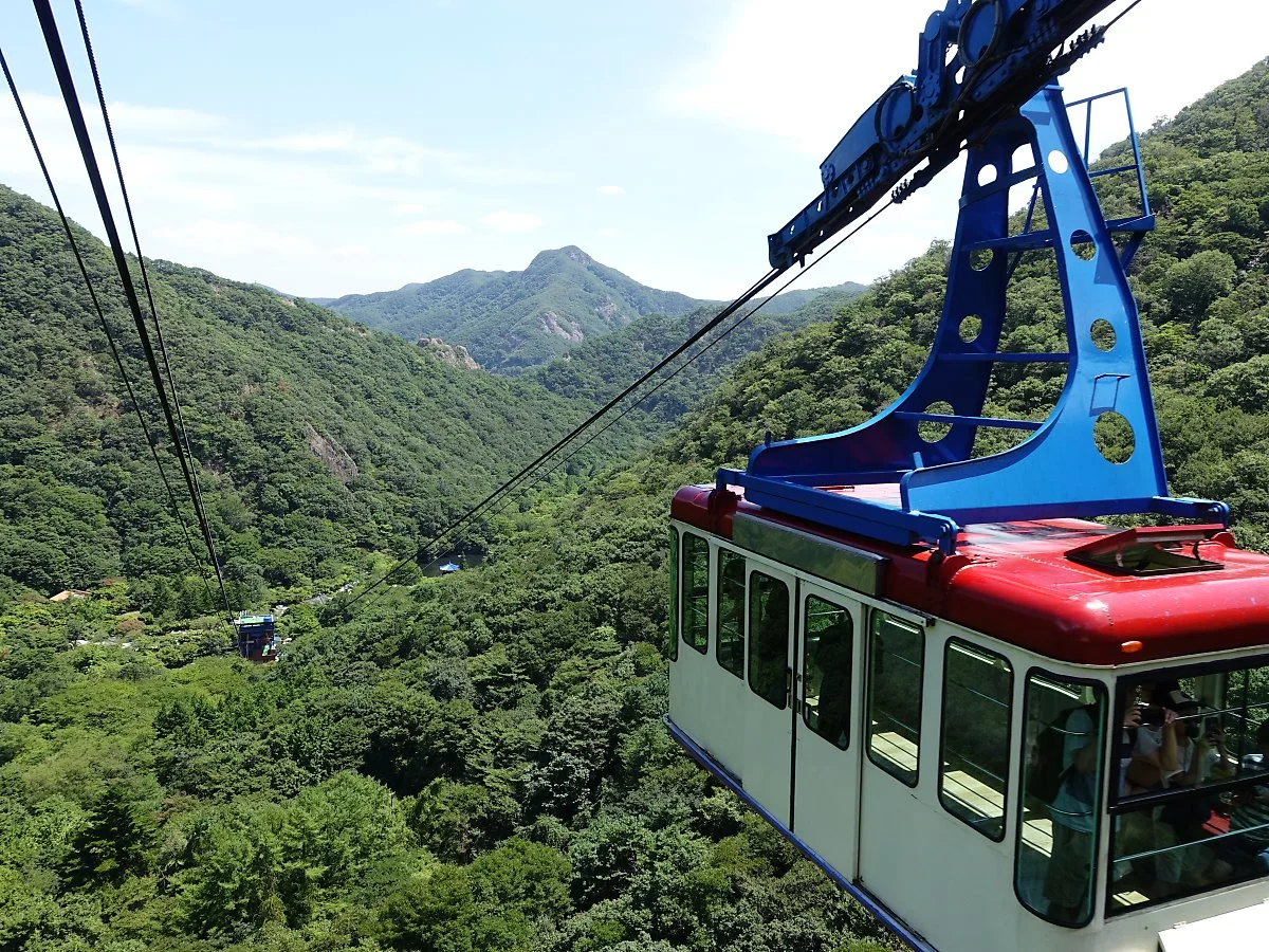 %EB%82%B4%EC%9E%A5%EC%82%B0%EC%BC%80%EC%9D%B4%EB%B8%94%EC%B9%B4201808%EA%B9%80%EC%84%A0%EC%A3%BC_%28110%29.JPG?type=w1200