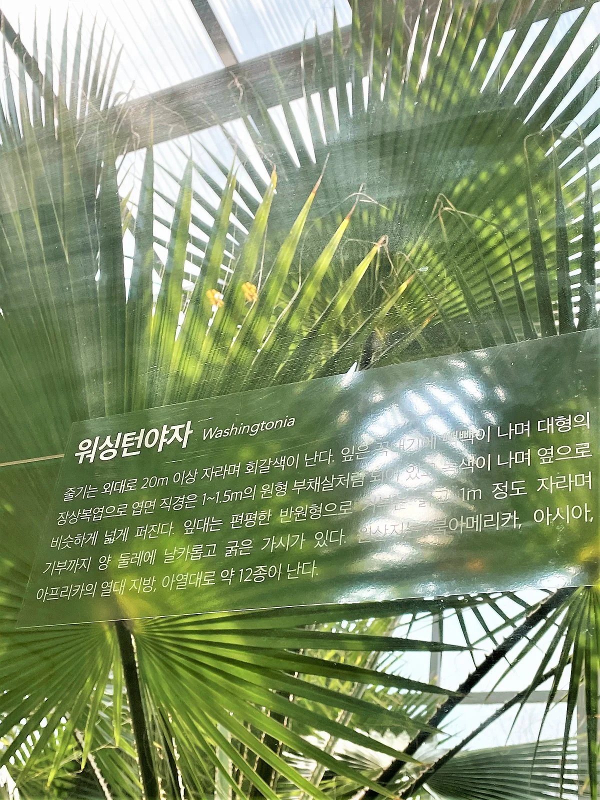 %EC%98%A8%EC%8B%A4%EB%A6%AC%EC%9B%80_%285%29.jpg?type=w1200