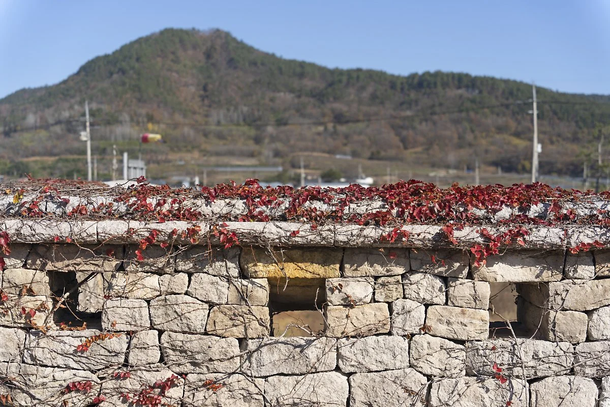 %ED%81%AC%EA%B8%B0%EB%B3%80%ED%99%98DSC03212.jpg?type=w1200