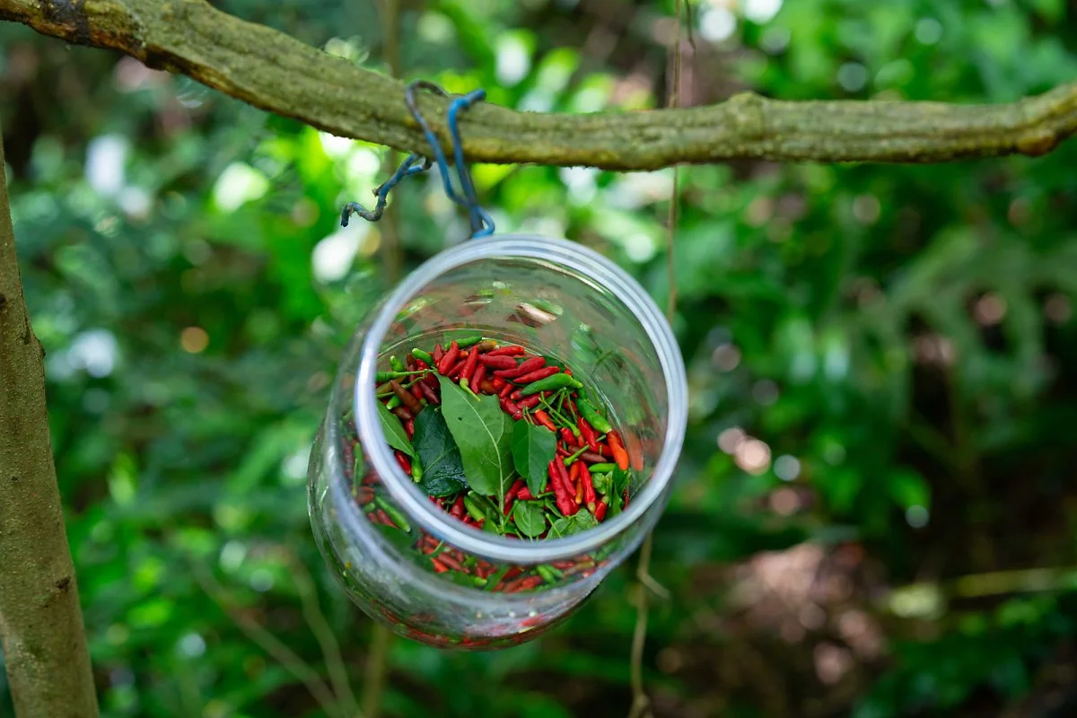 MIA02677.jpg?type=w1200